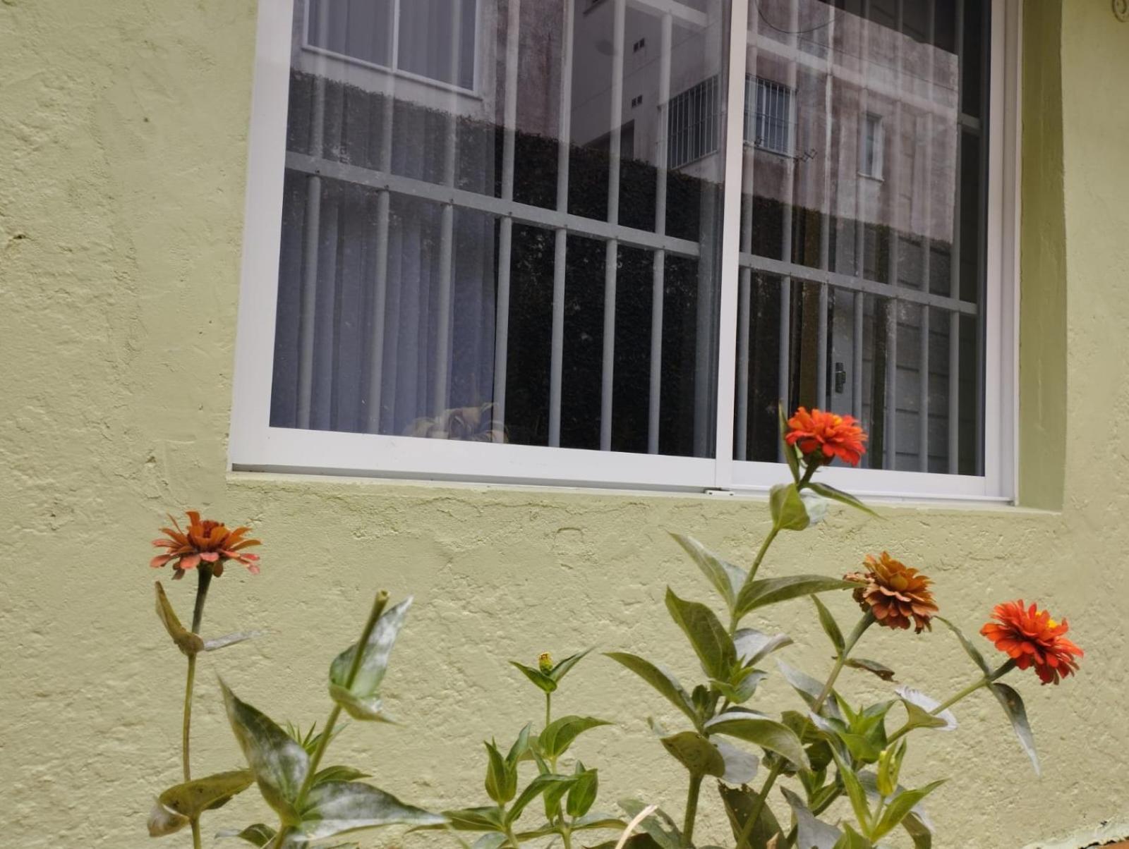 Charmoso Apto Com Clima De Casa Em Canasvieiras Florianópolis Exteriér fotografie